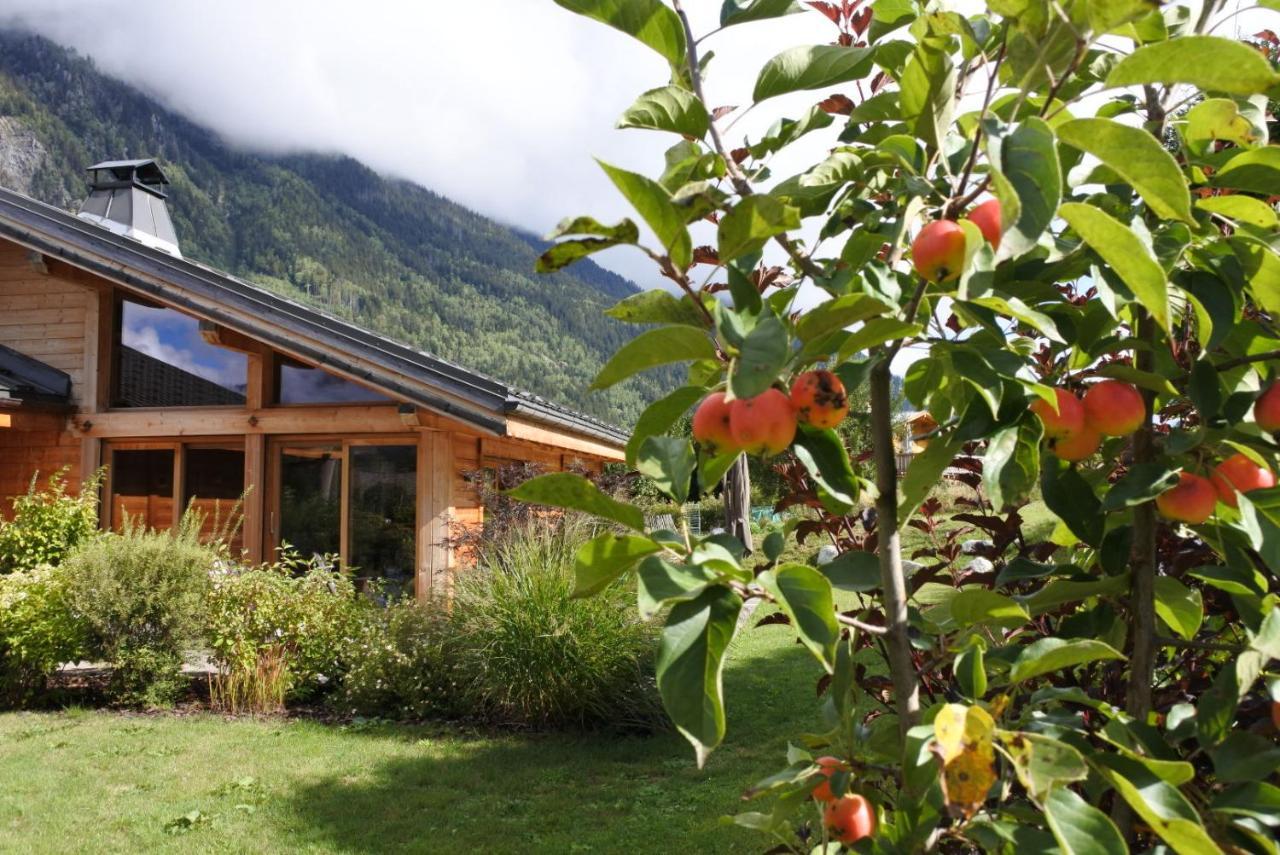 Grand Chalet Le Trappeur - Chamonix Exterior photo